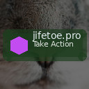 jifetoe.pro